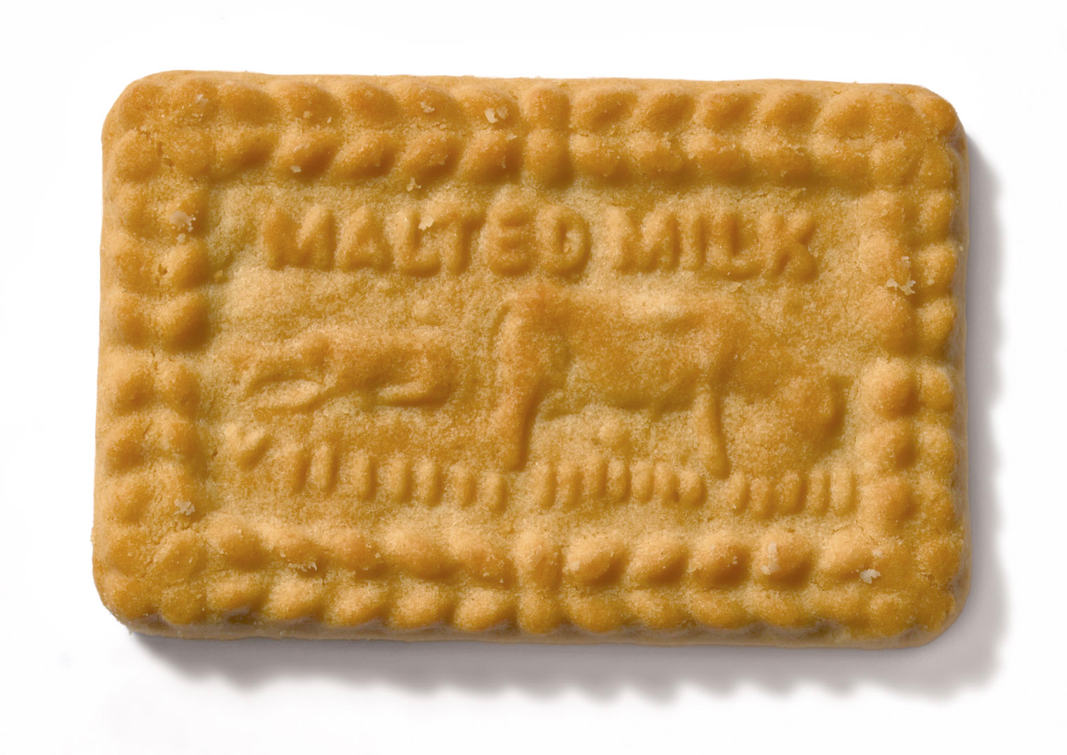 Malted Milk Biscuit